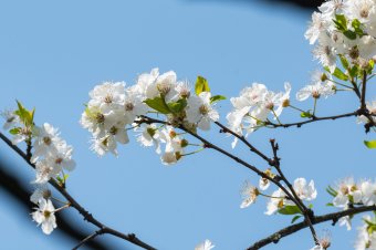 Igazi áprilisi időjárás hőmérsékletingadozásokkal, csapadékkal