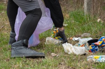 Közösen teszik tisztábbá Gyergyószentmiklóst