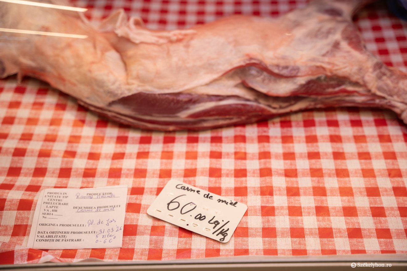 &bullet;  Fotó: Borbély Fanni