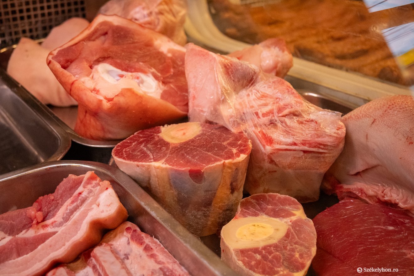 &bullet;  Fotó: Borbély Fanni