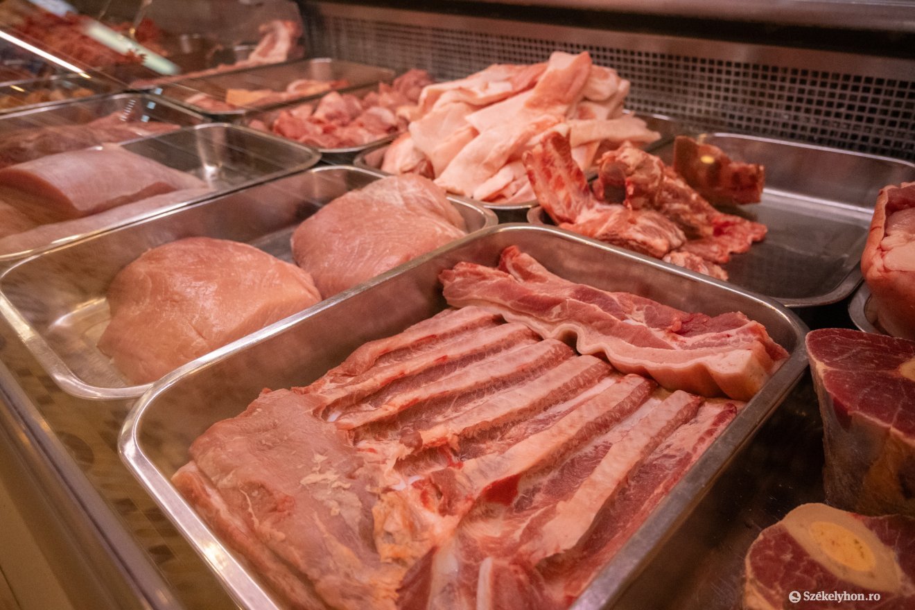 &bullet;  Fotó: Borbély Fanni