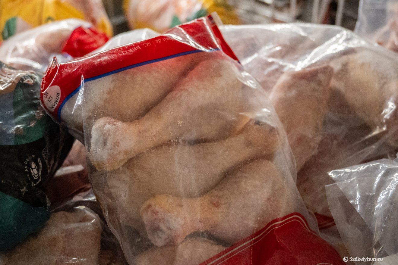 &bullet;  Fotó: Borbély Fanni