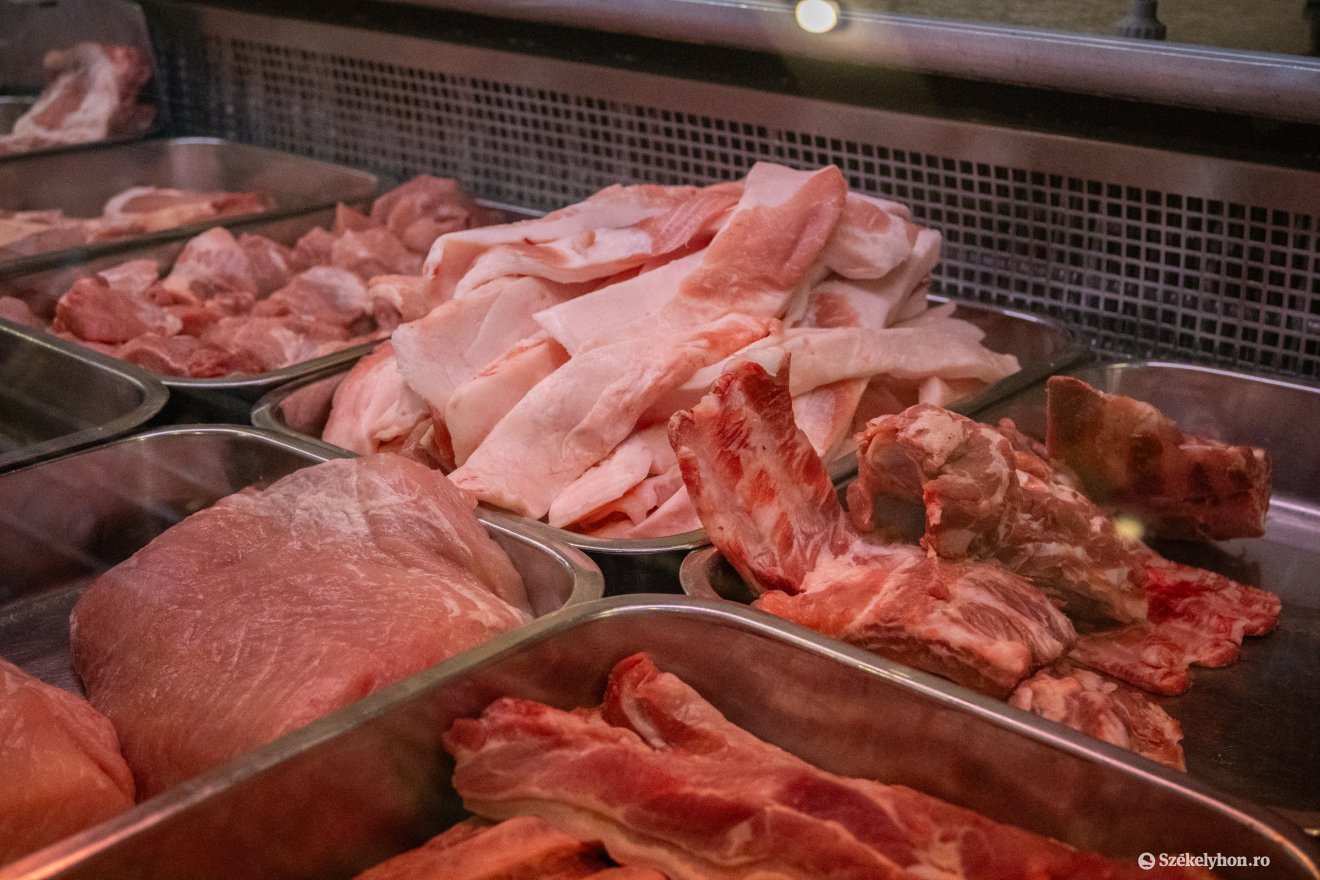 &bullet;  Fotó: Borbély Fanni