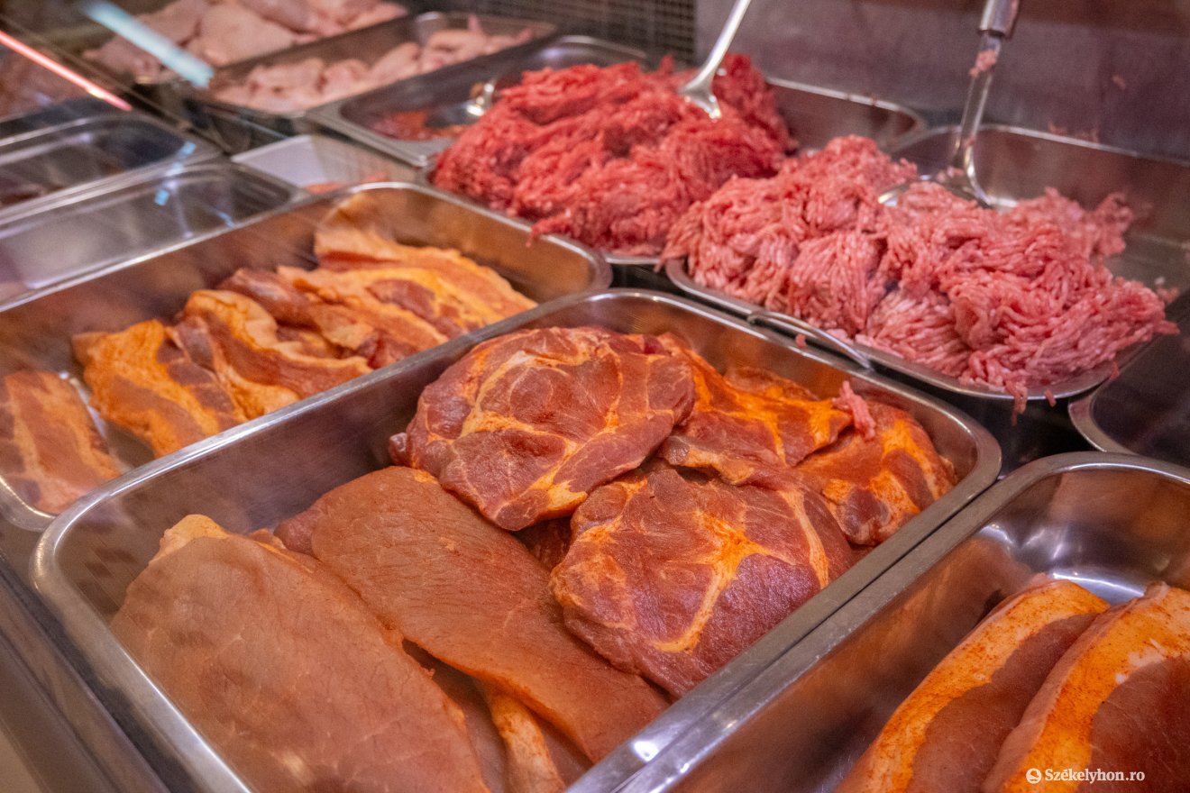 &bullet;  Fotó: Borbély Fanni