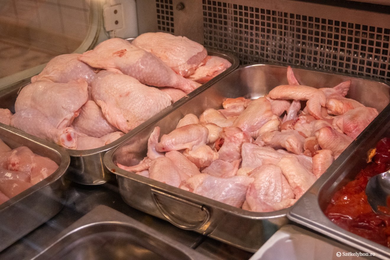 &bullet;  Fotó: Borbély Fanni