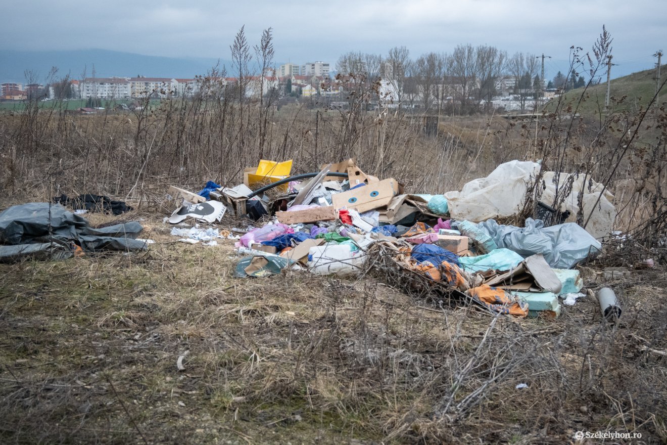 &bullet;  Fotó: Borbély Fanni