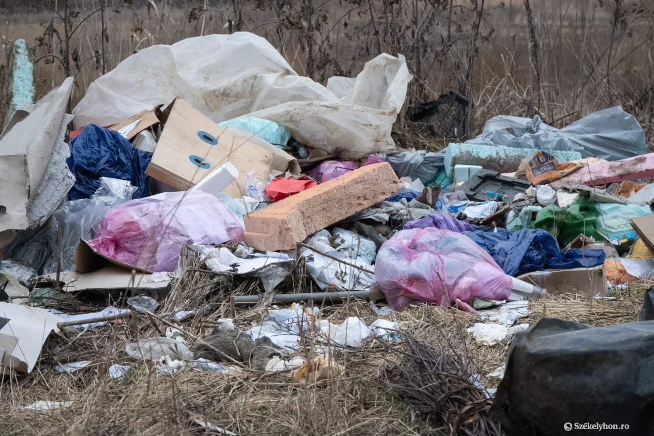 Ha azonosítják az illegális szemétlerakót, több tízezer lejes bírságra számíthat &bullet;  Fotó: Borbély Fanni