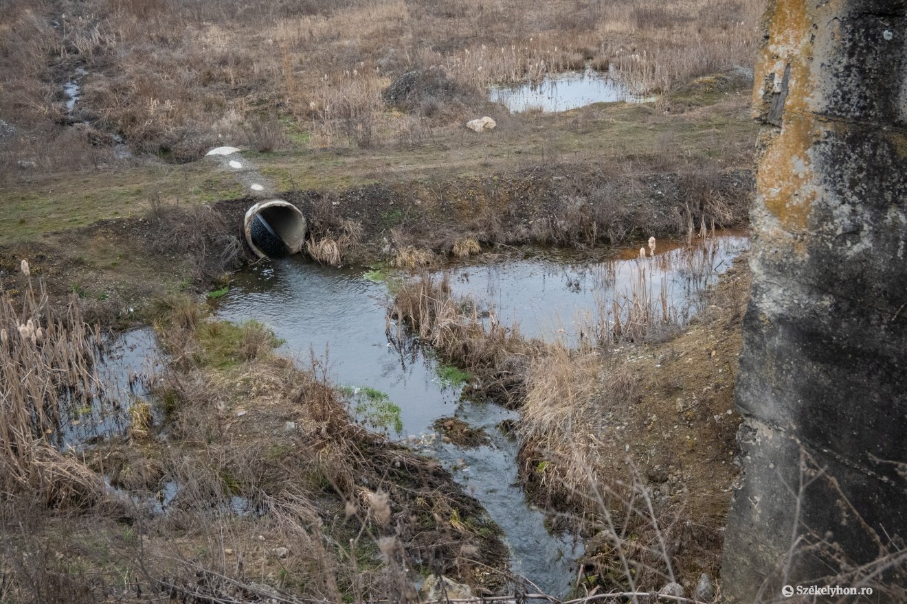&bullet;  Fotó: Borbély Fanni