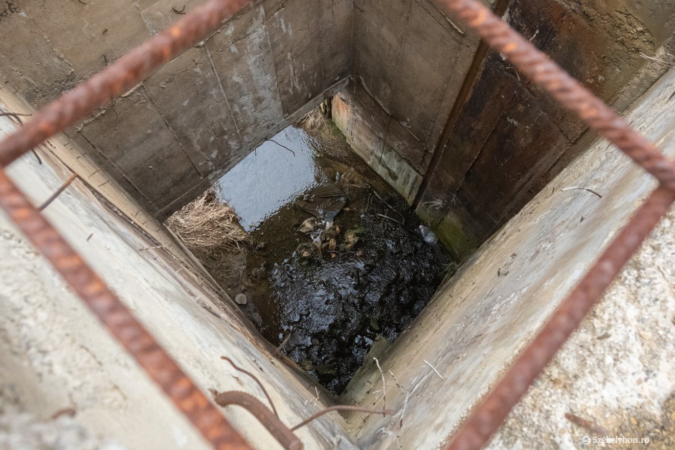 &bullet;  Fotó: Borbély Fanni