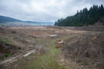 Újra benőtte a nád és a bozót az egykori Suta-tavat, miközben még mindig várat magára a felújítás