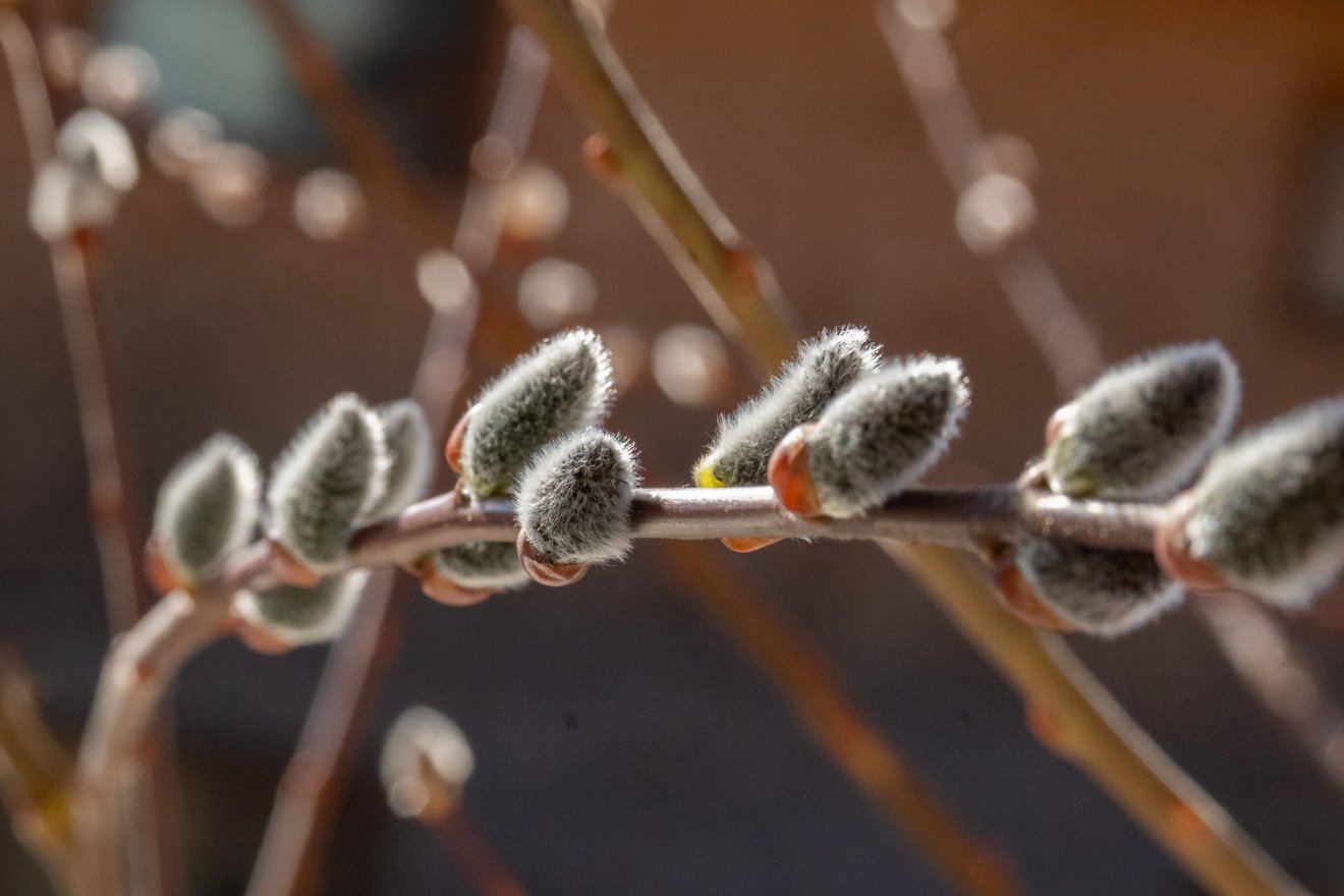 • Fotó: Borbély Fanni