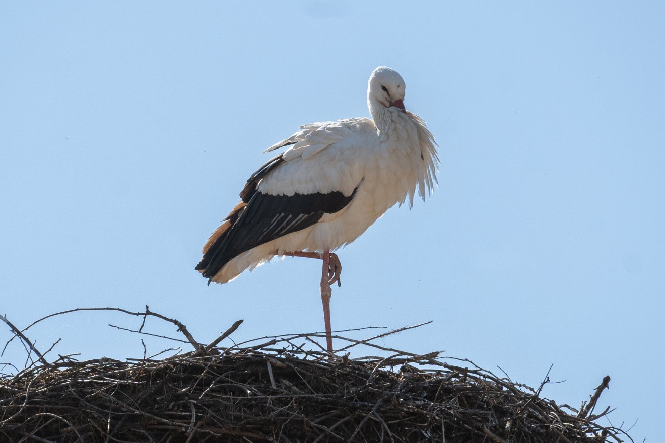 &bullet;  Fotó: Borbély Fanni