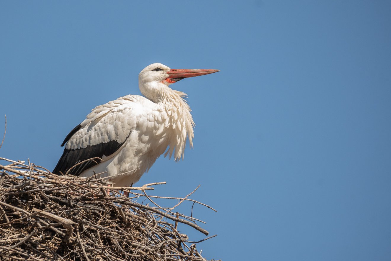 &bullet;  Fotó: Borbély Fanni