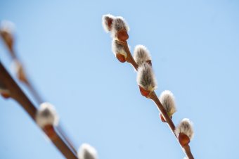 Kéthetes időjárás-előrejelzés: nagyhéten még havazhat is