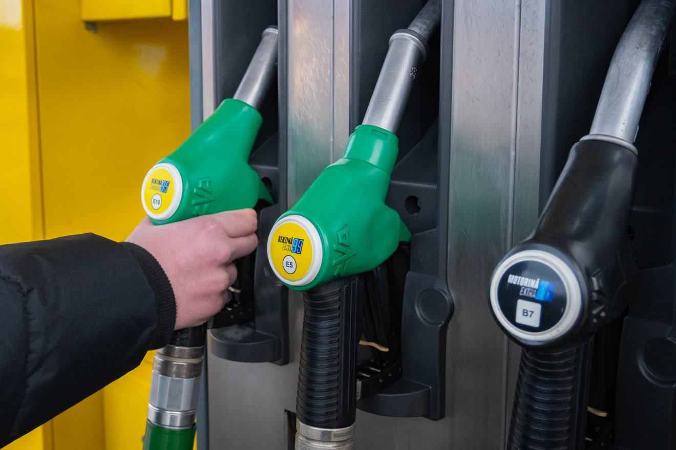 &bullet;  Fotó: Borbély Fanni