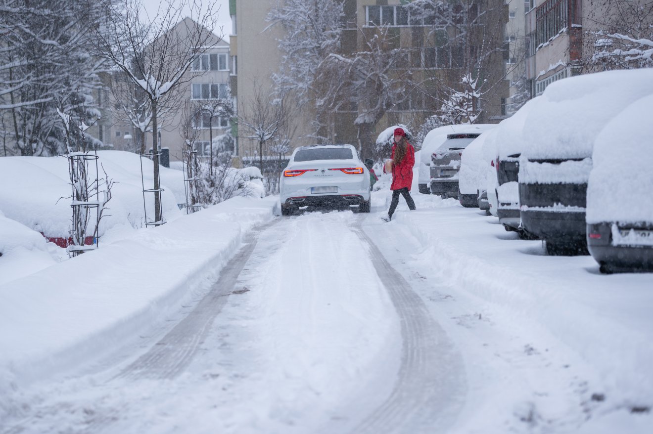 &bullet;  Fotó: Pinti Attila