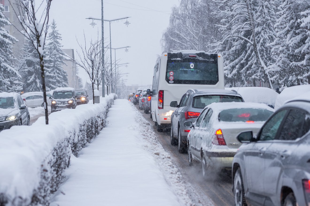 &bullet;  Fotó: Pinti Attila