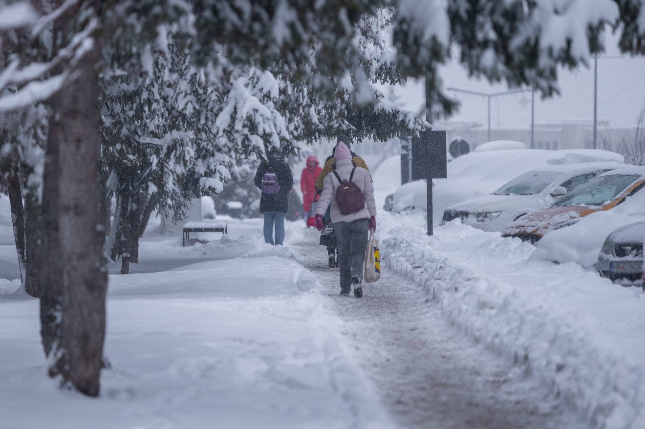 &bullet;  Fotó: Pinti Attila