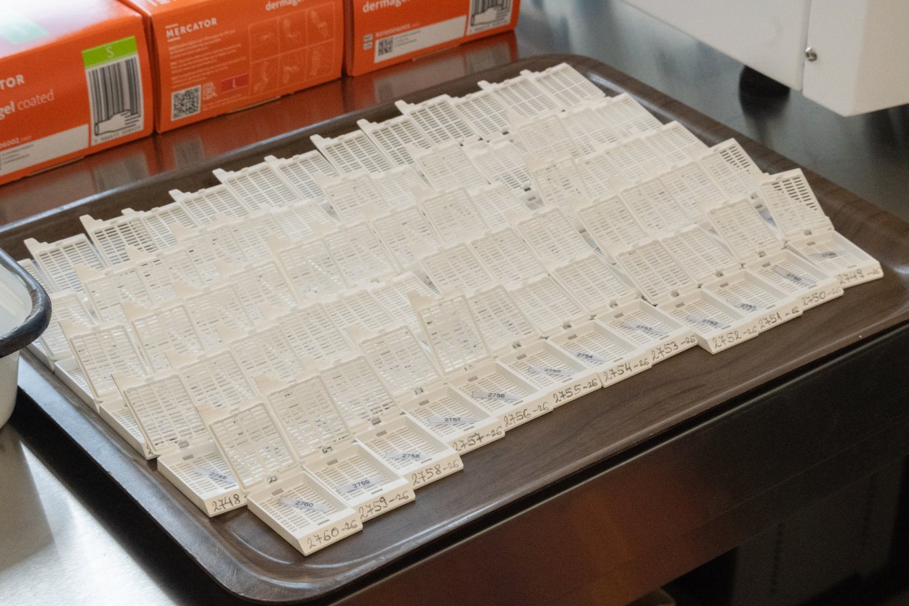 &bullet;  Fotó: Borbély Fanni