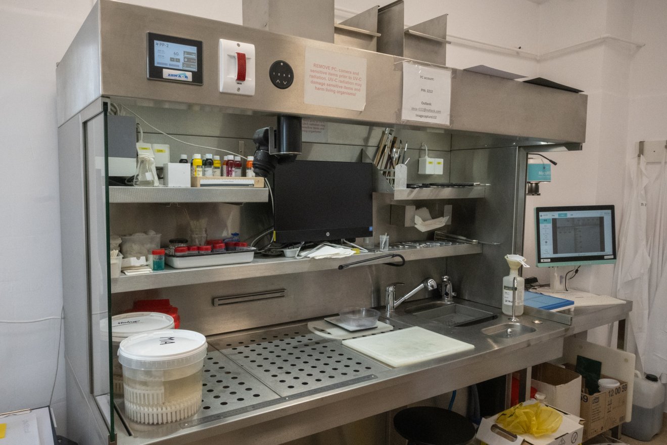 &bullet;  Fotó: Borbély Fanni