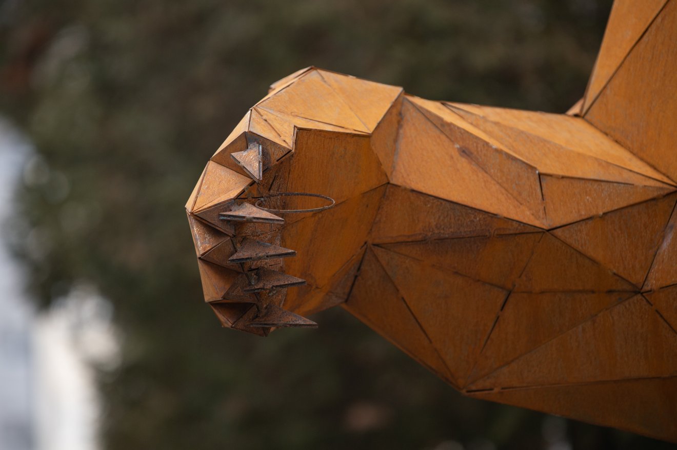 &bullet;  Fotó: Borbély Fanni