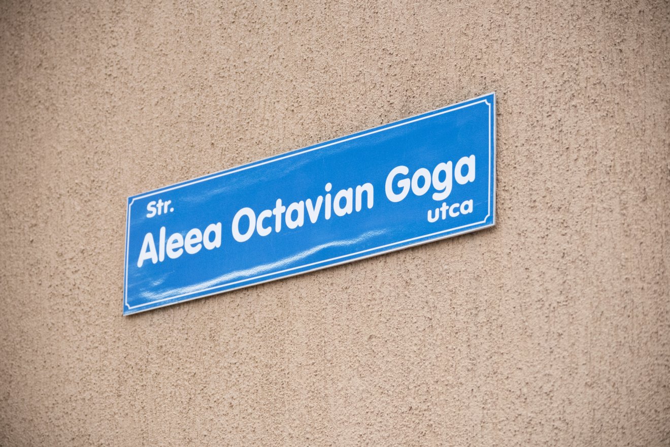 Vitatott elnevezés. Megváltozhat-e a későbbiekben? &bullet;  Fotó: Borbély Fanni