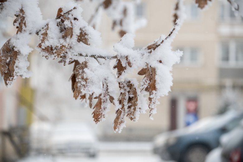 Ismét visszatér a fagy, de ezúttal csak egy napra