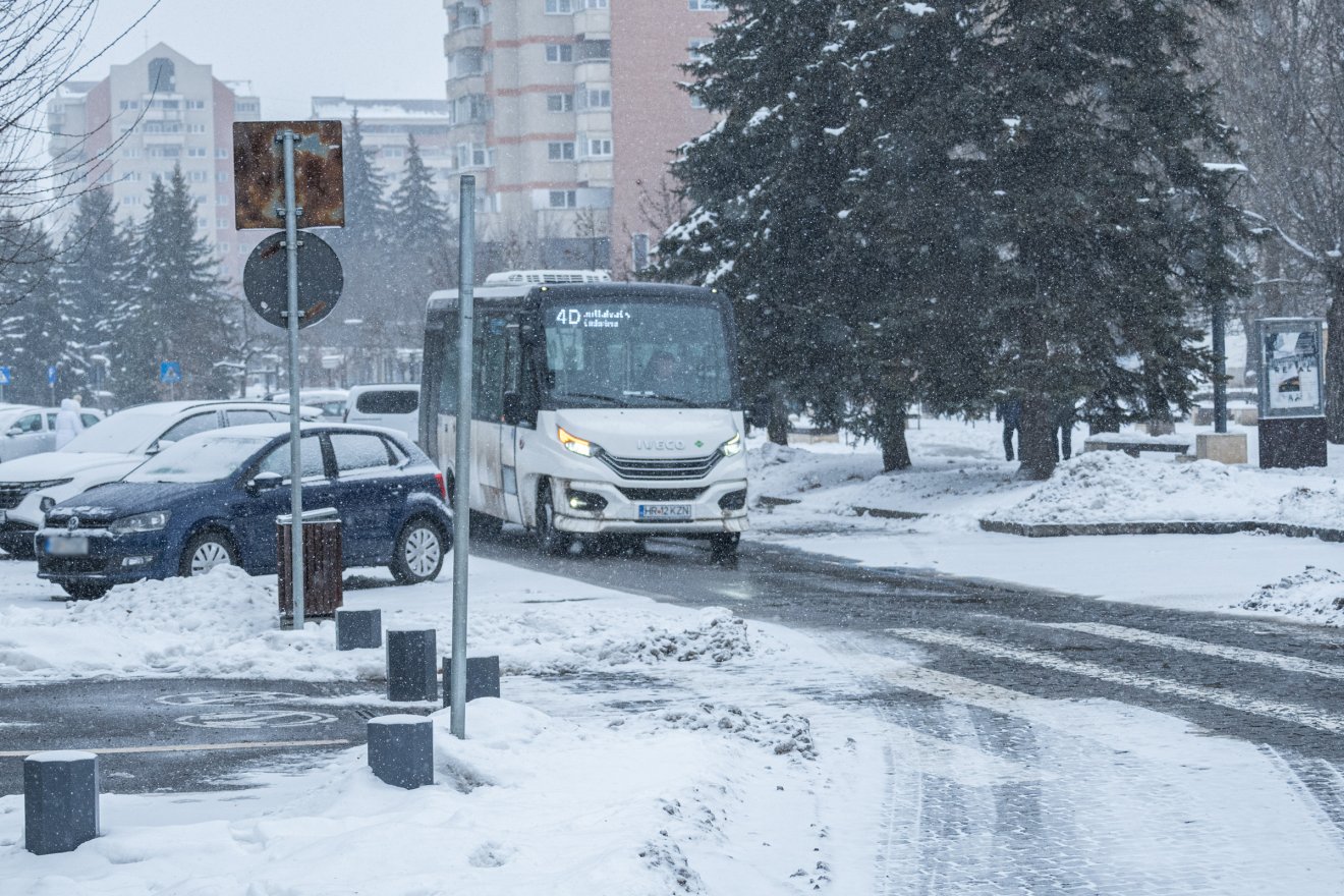 &bullet;  Fotó: Borbély Fanni