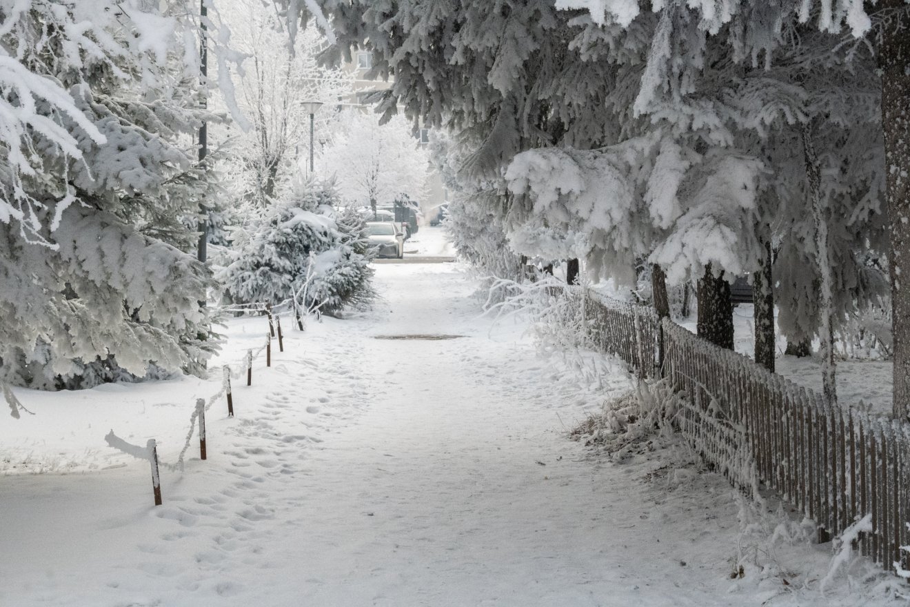 • Fotó: Borbély Fanni