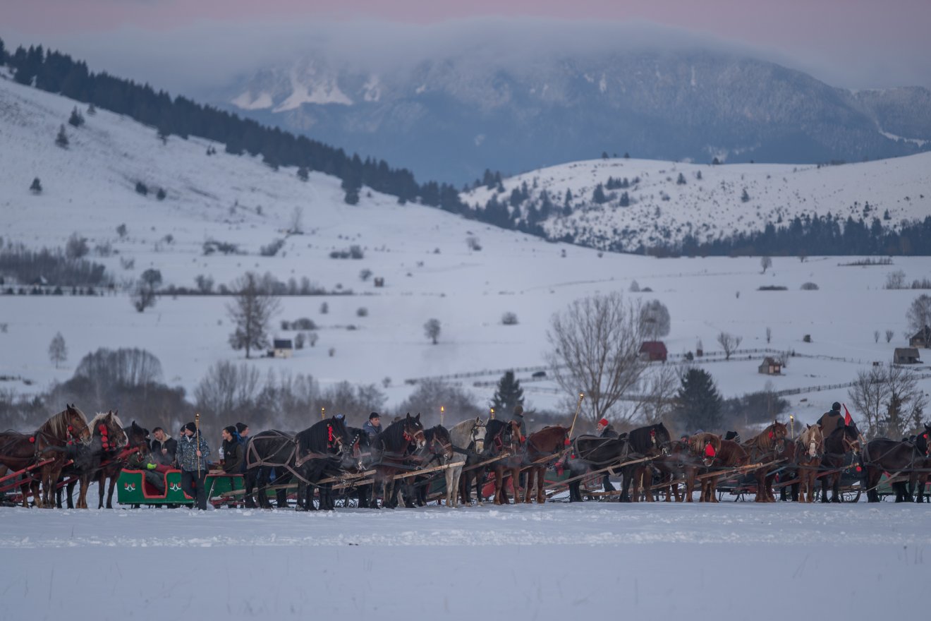 &bullet;  Fotó: Pinti Attila