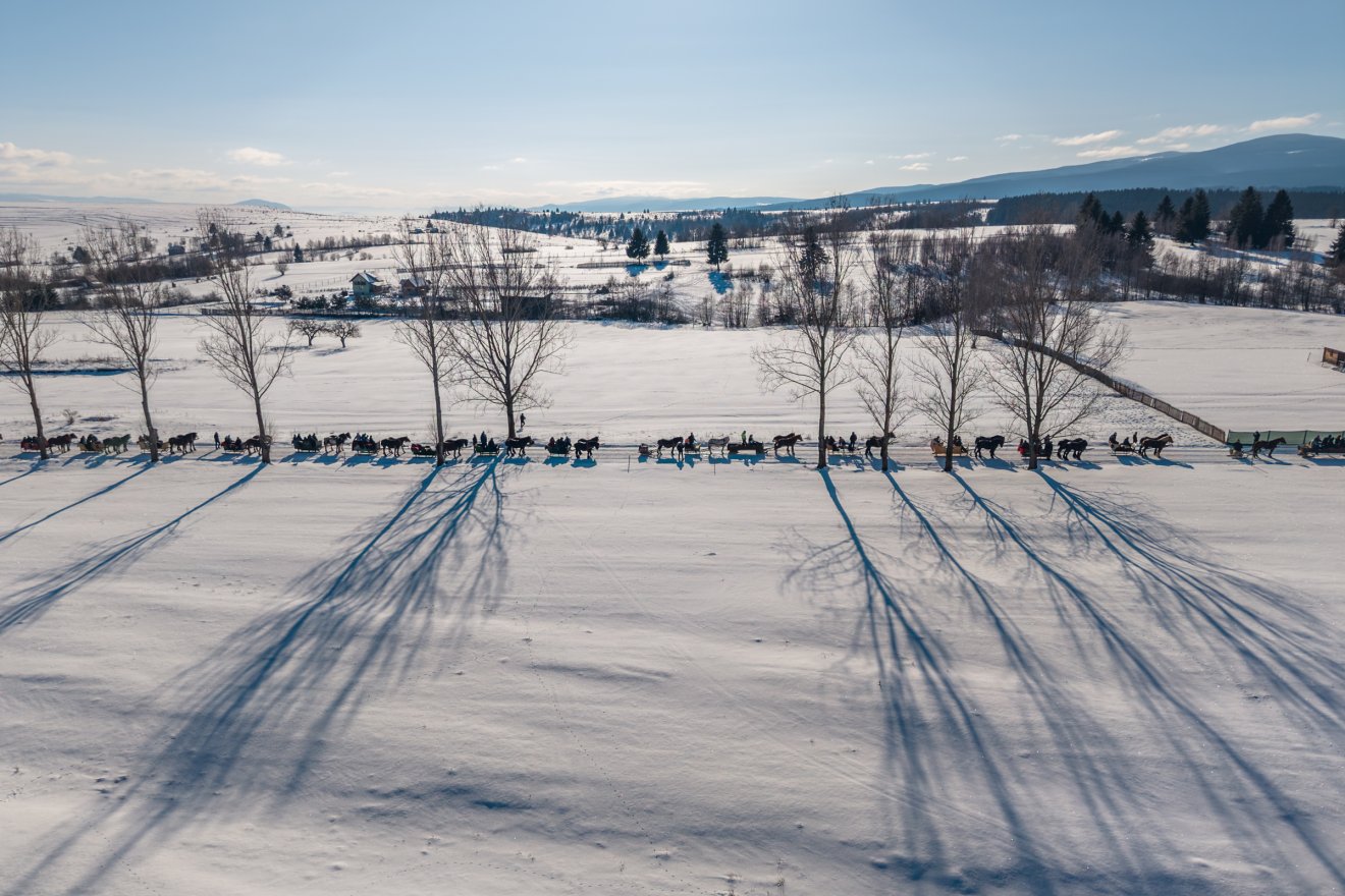&bullet;  Fotó: Pinti Attila