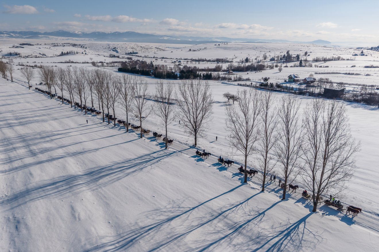 &bullet;  Fotó: Pinti Attila