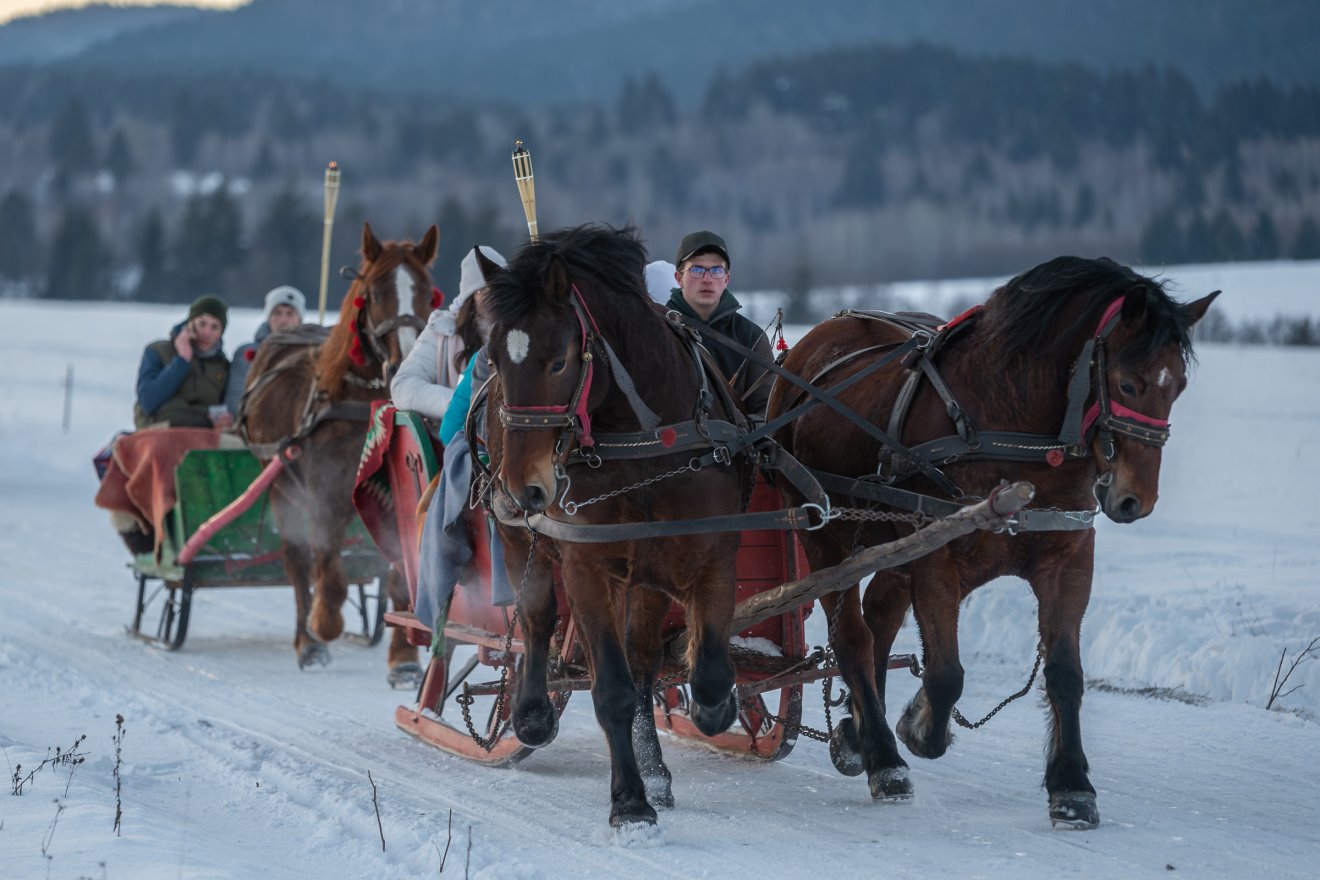 &bullet;  Fotó: Pinti Attila