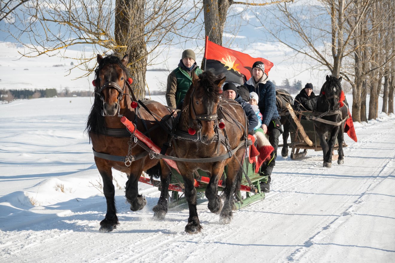 &bullet;  Fotó: Borbély Fanni