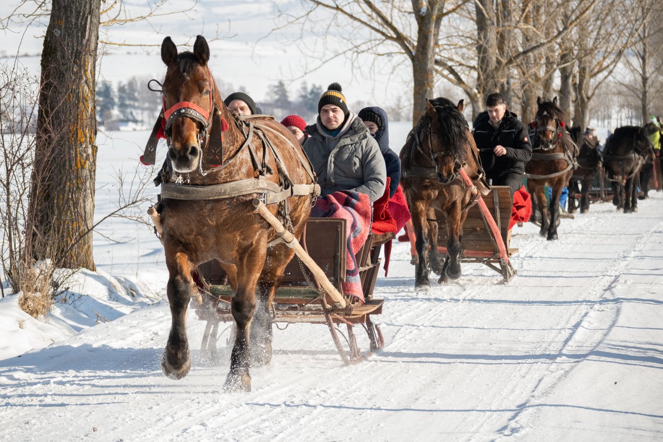 &bullet;  Fotó: Borbély Fanni