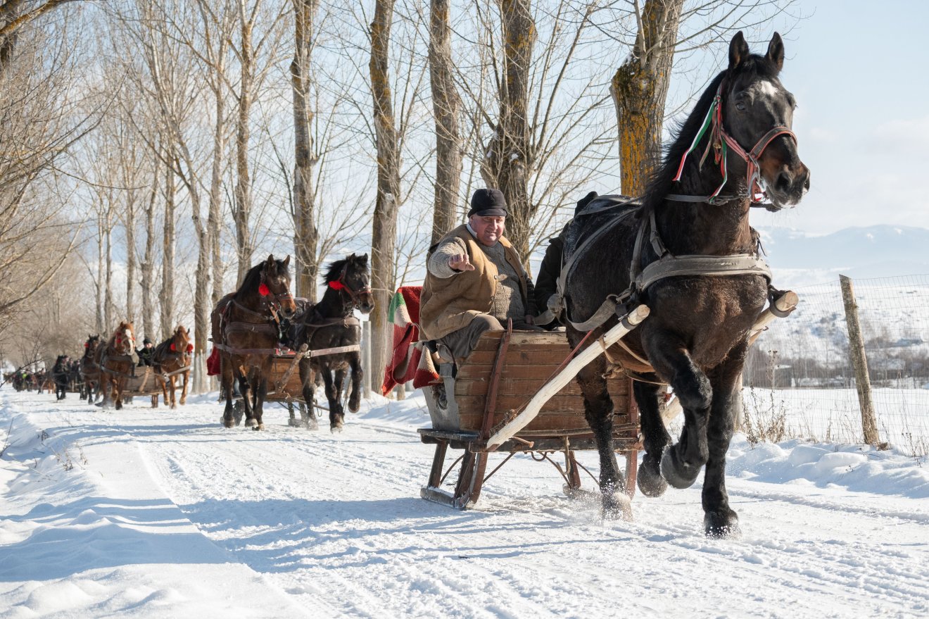 &bullet;  Fotó: Borbély Fanni