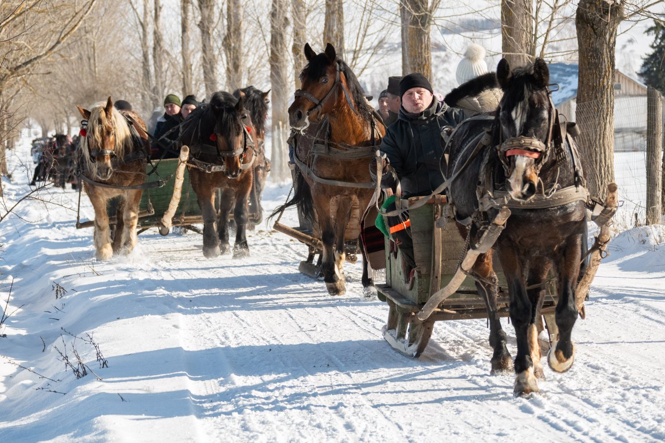 &bullet;  Fotó: Borbély Fanni
