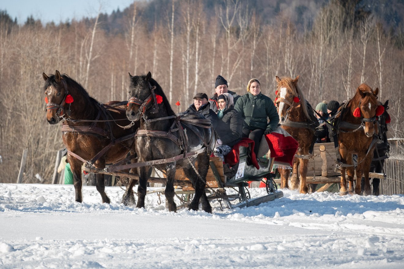 &bullet;  Fotó: Borbély Fanni