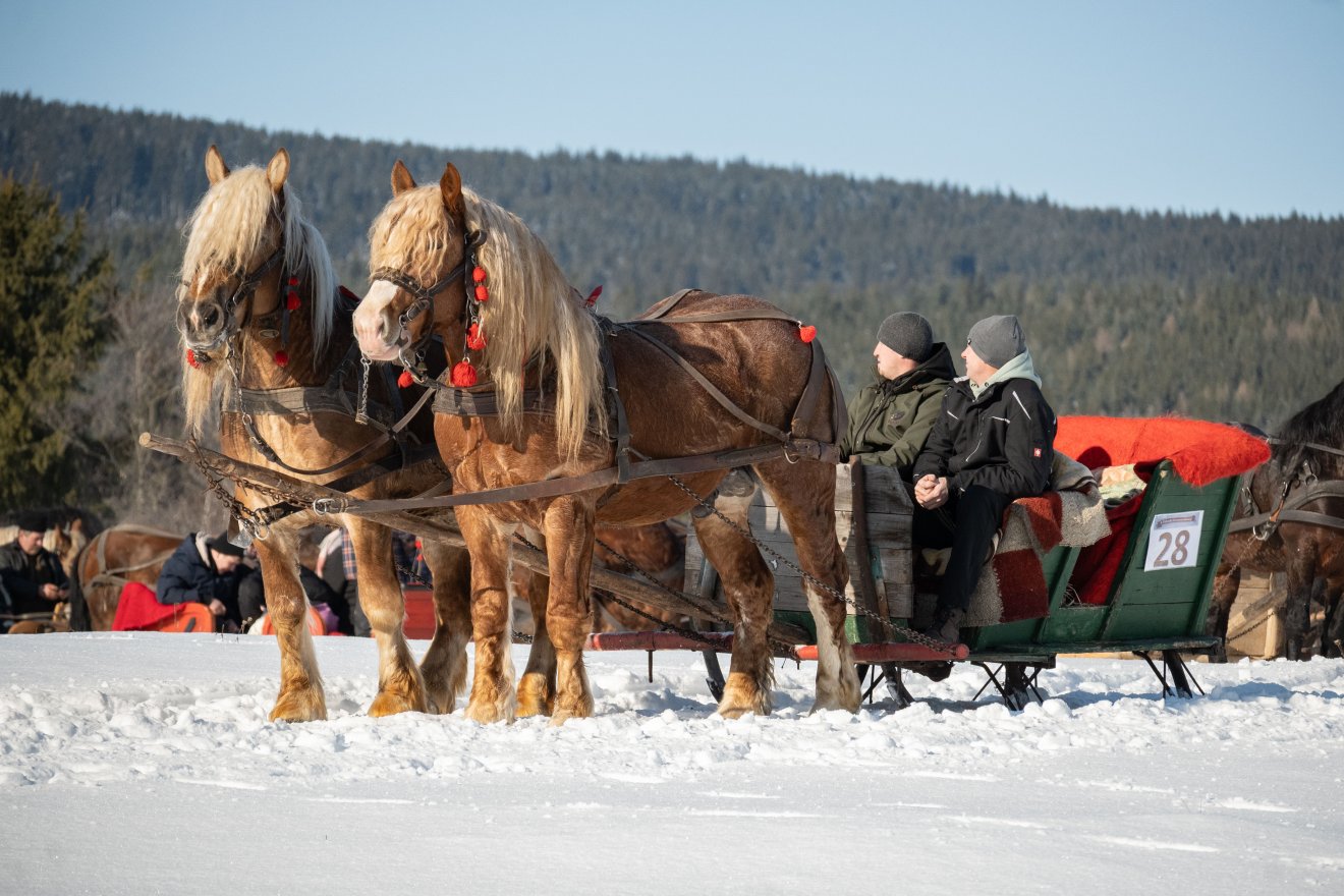 &bullet;  Fotó: Borbély Fanni
