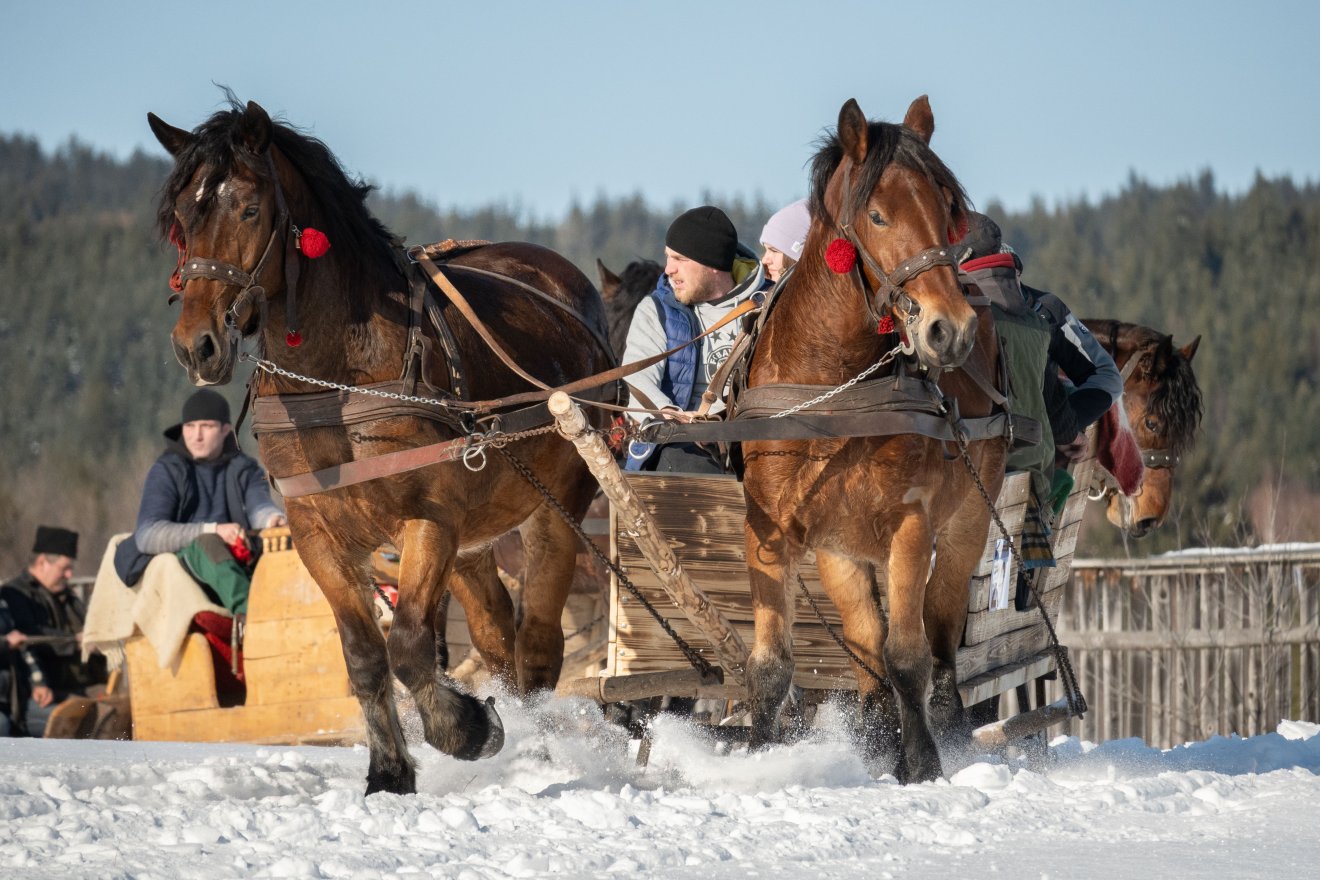 &bullet;  Fotó: Borbély Fanni