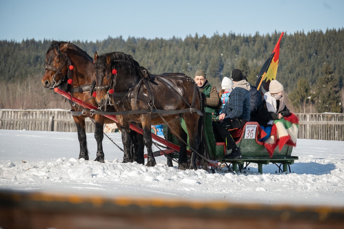 &bullet;  Fotó: Borbély Fanni