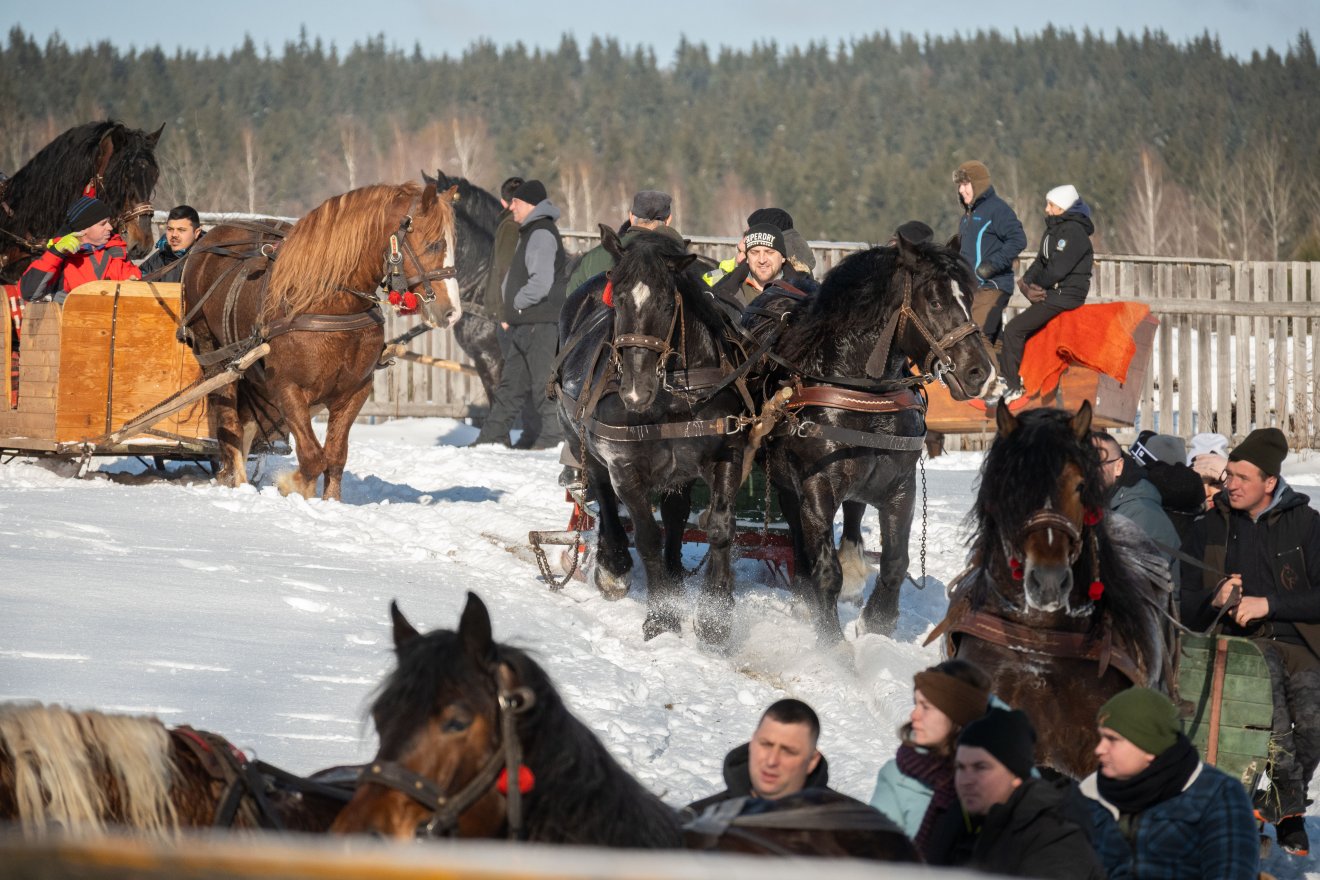 &bullet;  Fotó: Borbély Fanni
