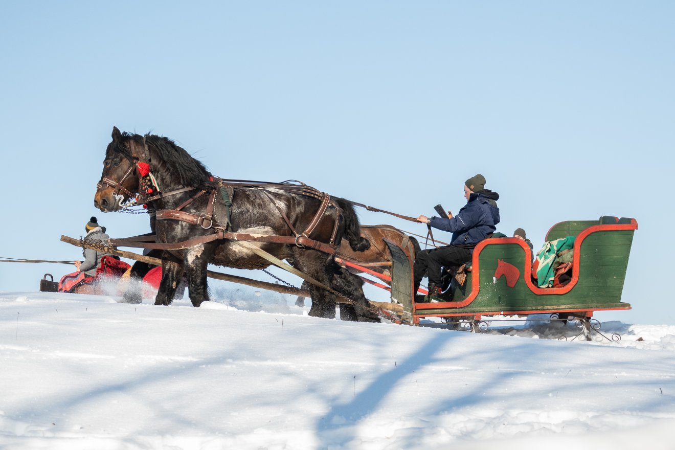 &bullet;  Fotó: Borbély Fanni