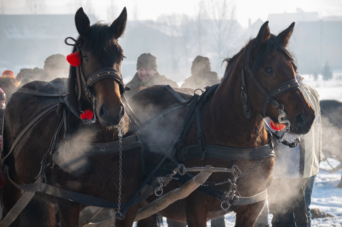 &bullet;  Fotó: Borbély Fanni