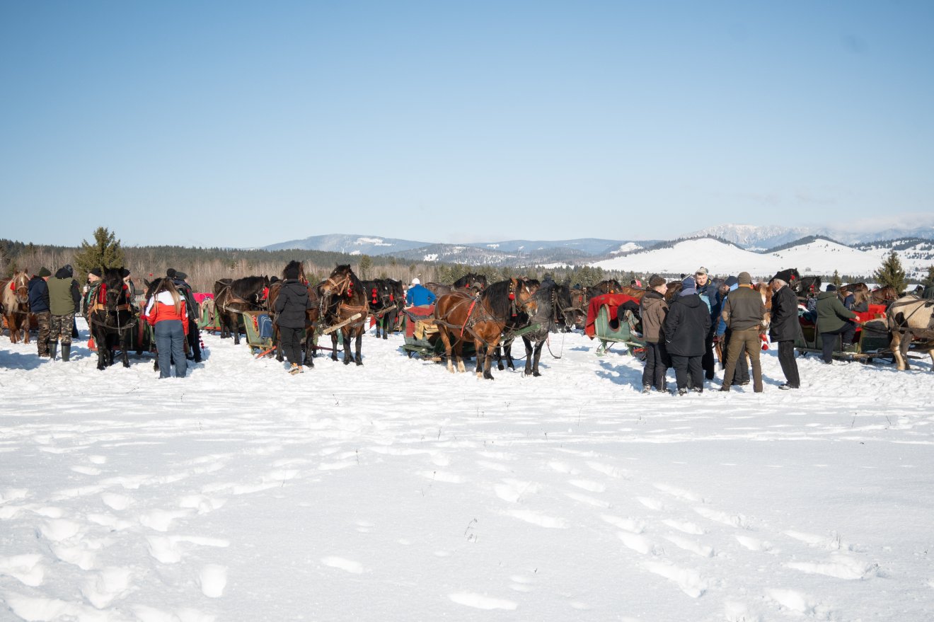 &bullet;  Fotó: Borbély Fanni