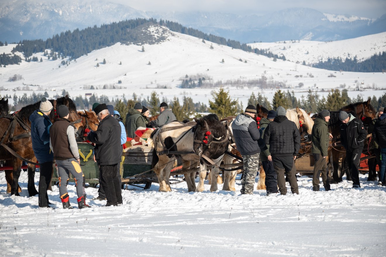 &bullet;  Fotó: Borbély Fanni