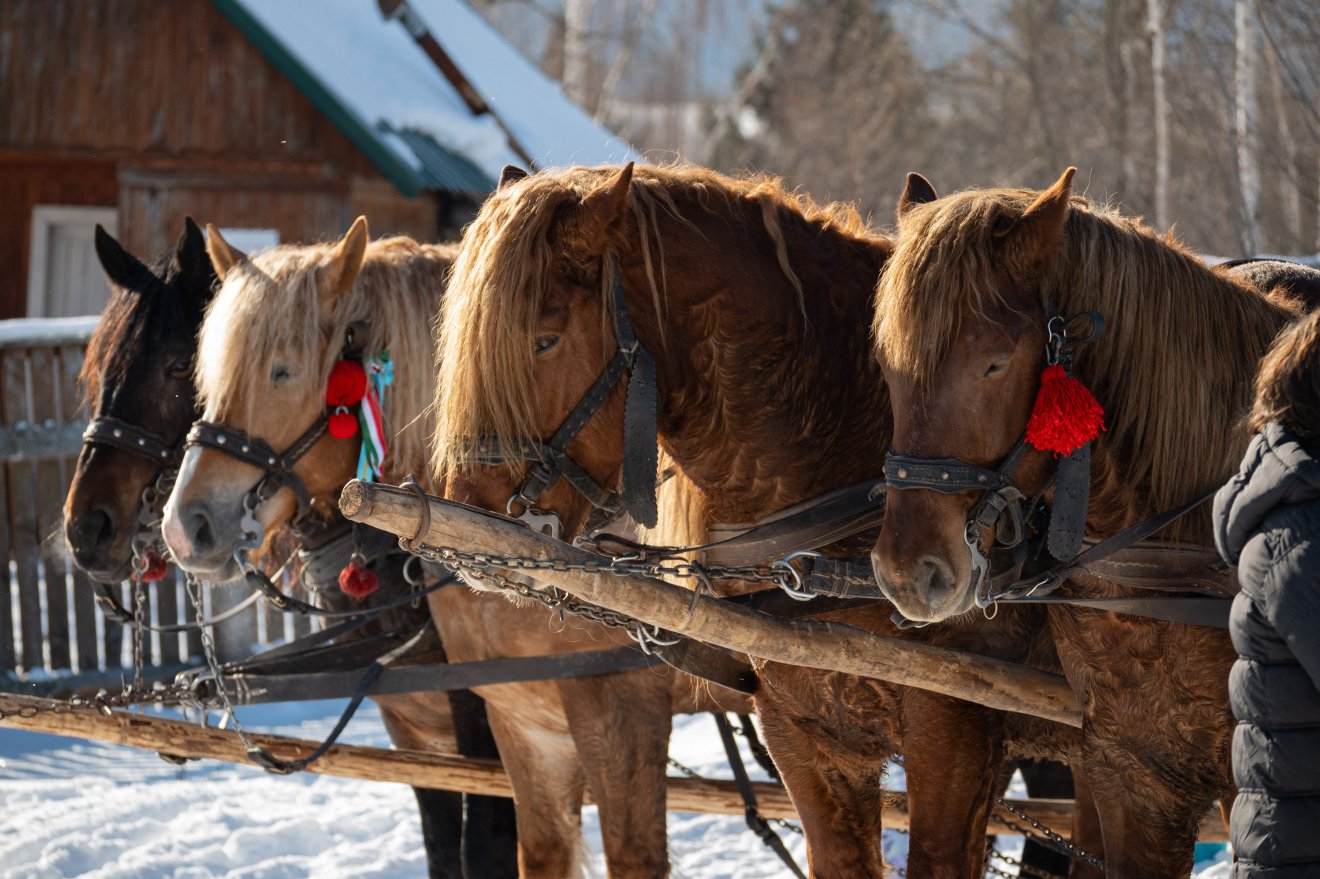 &bullet;  Fotó: Borbély Fanni