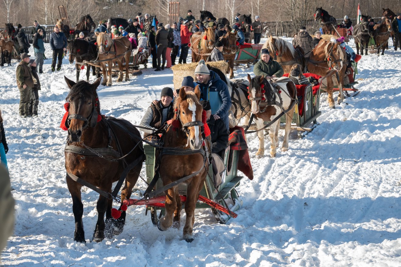 &bullet;  Fotó: Borbély Fanni