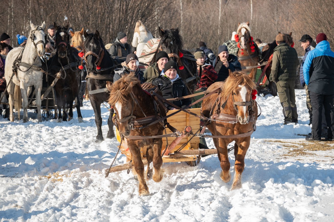 &bullet;  Fotó: Borbély Fanni