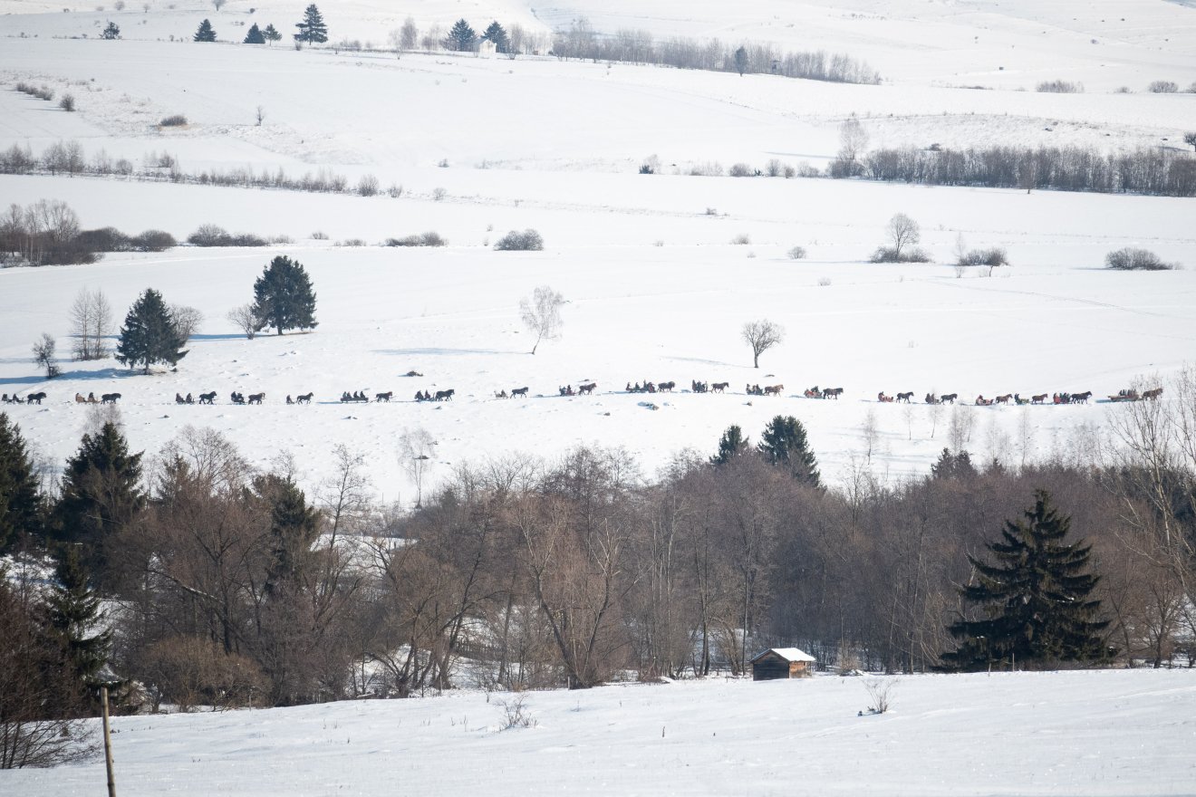 &bullet;  Fotó: Borbély Fanni